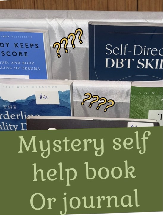 Mystery Book or Journal