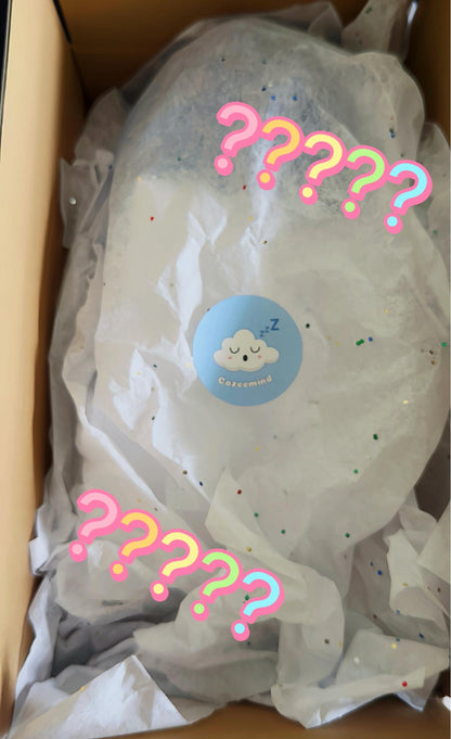 Women's Cozee Mystery Box